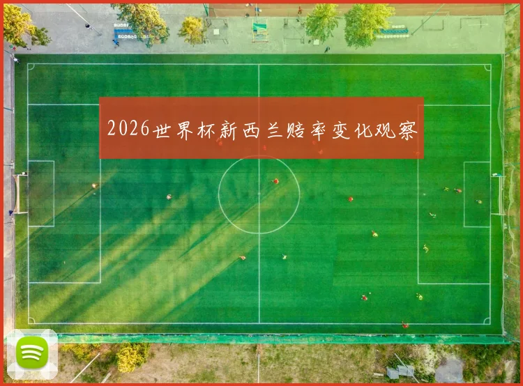 2026世界杯新西兰赔率变化观察