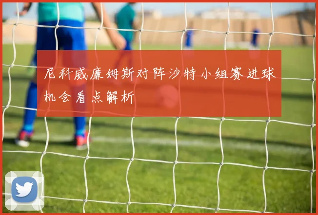 尼科威廉姆斯对阵沙特小组赛进球机会看点解析