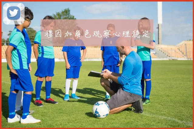 穆因加角色观察心理稳定