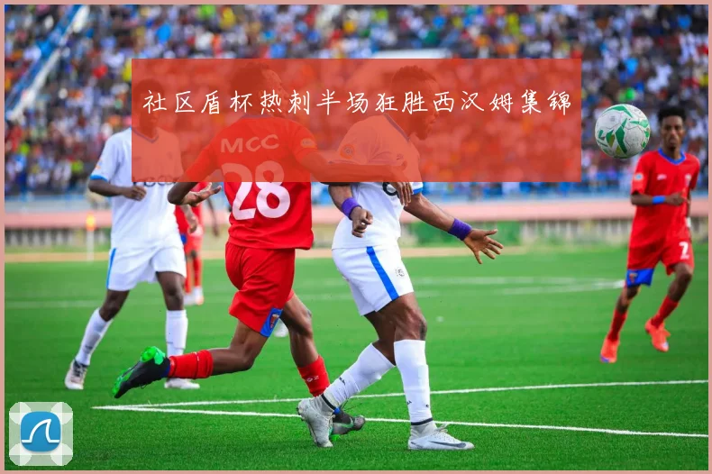 社区盾杯热刺半场狂胜西汉姆集锦